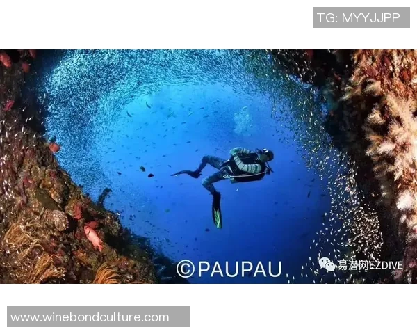 极限运动女王周芳的挑战与坚持：一段不平凡的生涯对话