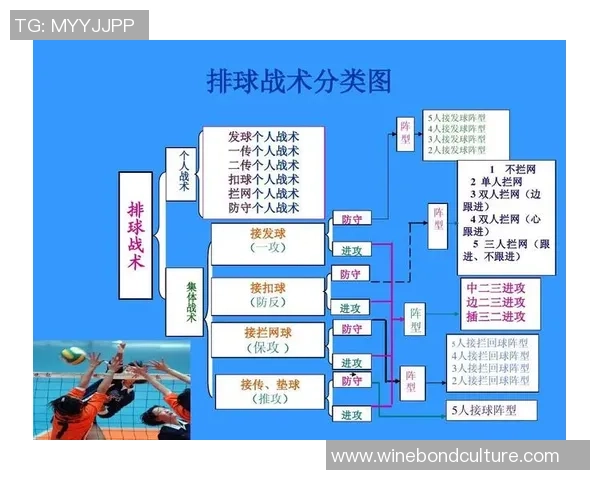 杭州排球队的战术控制分析与未来发展展望 杭州排球队的战术控制分析与未来发展展望