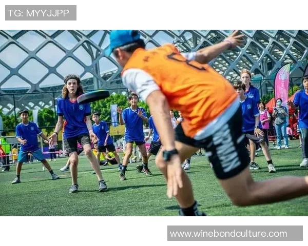 深圳飞盘队与武汉飞盘队赛后复盘团队协作的精彩瞬间与经验总结