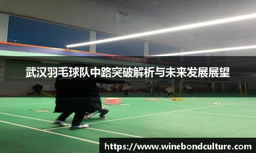 武汉羽毛球队中路突破解析与未来发展展望